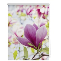 Lichtblick Rollo Klemmfix ohne Bohren, Magnolie Rosa -