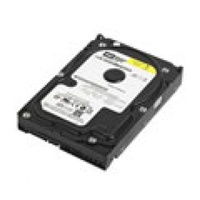 Western Digital AV-GP 320GB (WD3200AVVS)