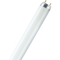 Osram L 36 W/950