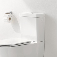 Grohe Essence Aufsatzspülkasten 39579000,