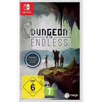 NBG Dungeon of Endless Collectors Switch