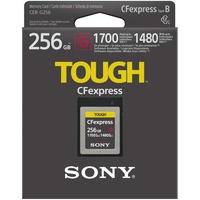 Sony CEB-G256 Speicherkarte 256 GB