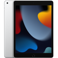 Apple iPad 10,2" (9. Generation 2021) 256 GB Wi-Fi