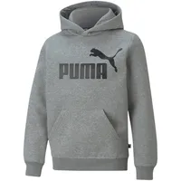 Puma Essentials HOODIE grau