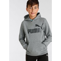 Puma Essentials Hoodie FL B, Medium Gray heather)