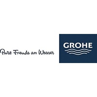 Grohe Einsatz für Kopfbrause 43404000