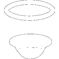 Hansa O-Ring 23,47 x 2,62 und Sieb 59914304 59914304