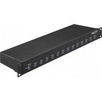 DeLock 64039 19′′ Industrie Hub 13 x USB 3.1