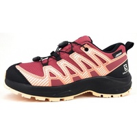 Salomon XA Pro V8 Cswp Wanderschuhe - Earth Red