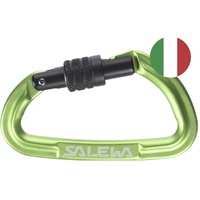 Salewa Hot G3 Screw Snap Hook Grün,Grün