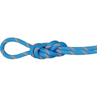 Mammut Alpine Sender Dry 8.7 Mm Rope Blau 50