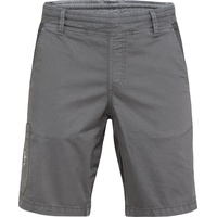 Chillaz Neo Shorts (Größe L, grau)