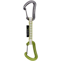 Edelrid Nineteen G Set Snap Hook Grün