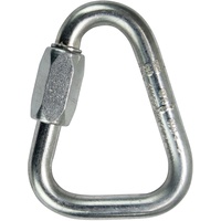 Petzl Delta 10mm Snap Hook Silber