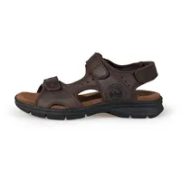 Panama Jack Herren Salton Basics Peeptoe Sandalen, Braun 46