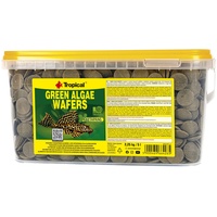 Tropical Green Algae Wafers Welschips, 1er Pack (1 x