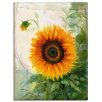 Artland Leinwandbild »Sonnenblume«, Blumen, (1 St.), auf Keilrahmen gespannt,