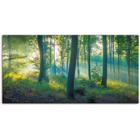 Artland Wandbild »Wald Panorama«, Waldbilder, (1 St.), als Alubild,