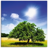 Artland Wandbild »Baum des Lebens«, Bäume, (1 St.), als
