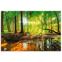 Artland Wandbild »Wald mit Bach«, Wald, (1 St.), als