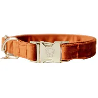 Kentucky Dogwear Velvet Orange