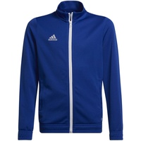 Adidas Entrada 22 Trainingsjacke Kinder royal blue Gr. 152