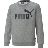 Puma Jungen Big Logo Crew Fl B Medium Gray