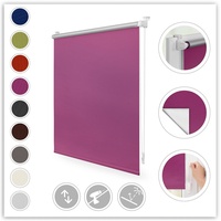 Lichtblick Thermo-Rollo Klemmfix 75 x 150 cm fuchsia