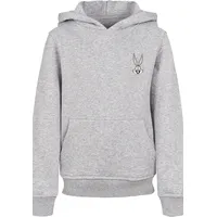 F4NT4STIC Hoodie in heather grey | Gr.: 122/128