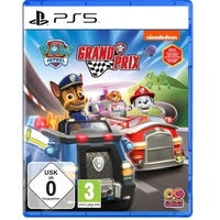Bandai Namco Entertainment PAW Patrol: Grand Prix - [PlayStation