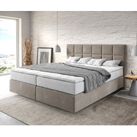 DeLife Dream-Fine 180 x 200 cm H2/H3 beige