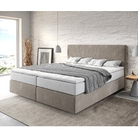 DeLife Dream-Well 180 x 200 cm H2/H3 beige