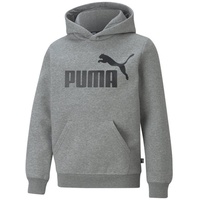 Puma Jungen Hoodie - ESS Big Logo Hoodie, Rundhals,