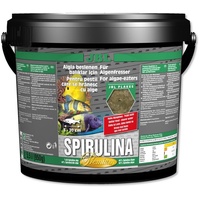 JBL Spirulina 30003 Premium - Haupfutter für Algenfresser im