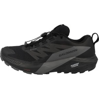 Salomon Herren Sense Ride 5 GTX schwarz