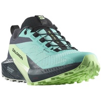 Salomon Damen Sense Ride 5 GTX grün 42.6