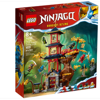 LEGO Ninjago - Tempel der Drachenpower (71795)