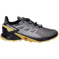 Salomon Supercross 4 Gore-Tex Herren pewter/black/cress green 46 2/3