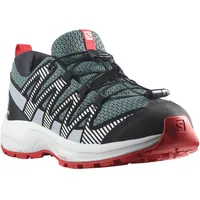 Salomon Xa Pro V8 Wanderschuhe - Stormy Weather /