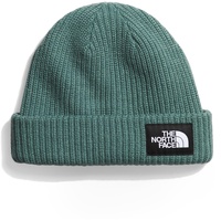 The North Face Salty Lined Unisex Beanie-Mütze, Dark Sage,