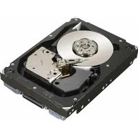 Dell 300GB SAS 15000rpm 2.5"