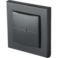 Homematic IP Wired Wandtaster 2-fach, anthrazit