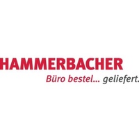 Hammerbacher Rückwandverkleidung VHR12/S silber,