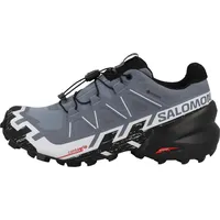 Salomon Speedcross 6 Gore-Tex Damen flint stone/black/heather 38 2/3