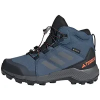 Adidas Terrex Mid GTX Wonder Steel / Grey Three