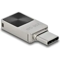 DeLock Mini USB Stick, 256GB, Silber/vernickelt