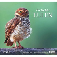 Dumont Kalenderverlag Geliebte Eulen 2025 Wandkalender - mit den