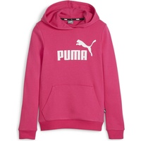 Puma Mädchen ESS Logo Hoodie Tr G Sweat