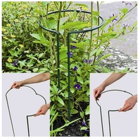 Siena Garden Pflanzenstütze vollrund 55 cm verstellbar