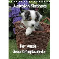 Calvendo Der Aussie - Geburtstagskalender (Tischkalender immerwährend DIN A5